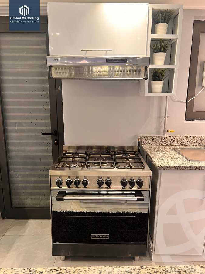 https://aqarmap.com.eg/en/listing/6045511-for-rent-cairo-new-cairo-compounds-lake-view