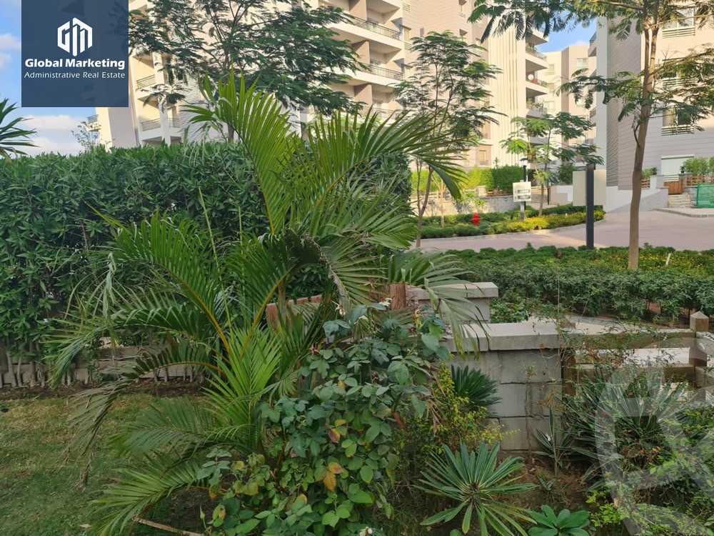 https://aqarmap.com.eg/en/listing/6046098-for-rent-cairo-new-cairo-compounds-cairo-festival-city