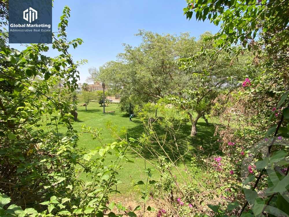 https://aqarmap.com.eg/en/listing/6052498-for-rent-cairo-new-cairo-compounds-cairo-new-cairo-compounds-kattameya-heights