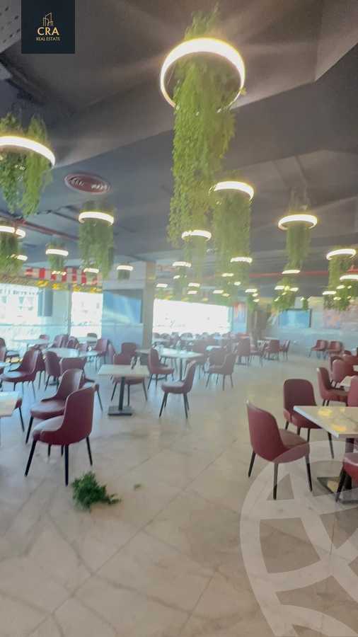 https://aqarmap.com.eg/en/listing/6018192-for-rent-cairo-new-cairo-90th-street-northern-90th-street
