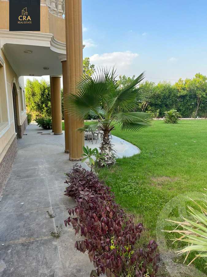 https://aqarmap.com.eg/en/listing/6258779-for-rent-cairo-new-cairo-90th-street-northern-90th-street