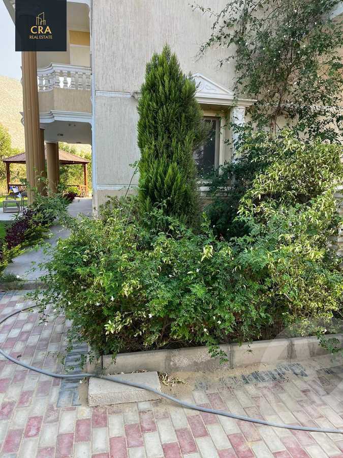 https://aqarmap.com.eg/en/listing/6258779-for-rent-cairo-new-cairo-90th-street-northern-90th-street