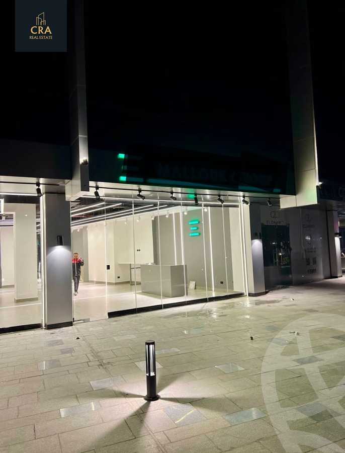 https://aqarmap.com.eg/en/listing/6421317-for-rent-cairo-new-cairo-90th-street-south-teseen-st