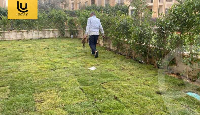 https://aqarmap.com.eg/en/listing/5671395-for-rent-cairo-new-cairo-compounds-stwn-ryzydns-by-ar-y-llttwyr