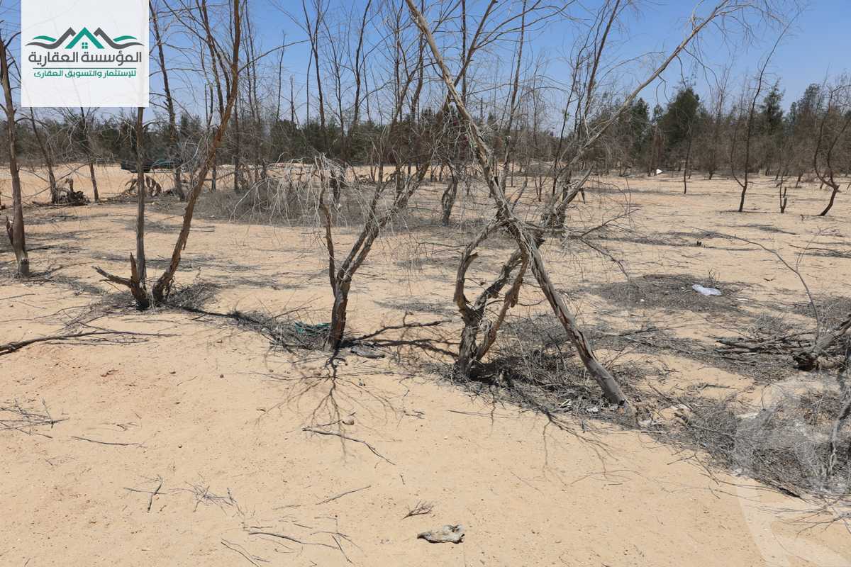 https://aqarmap.com.eg/en/listing/6092994-for-sale-cairo-6th-of-october-green-belt-wadi-el-nile