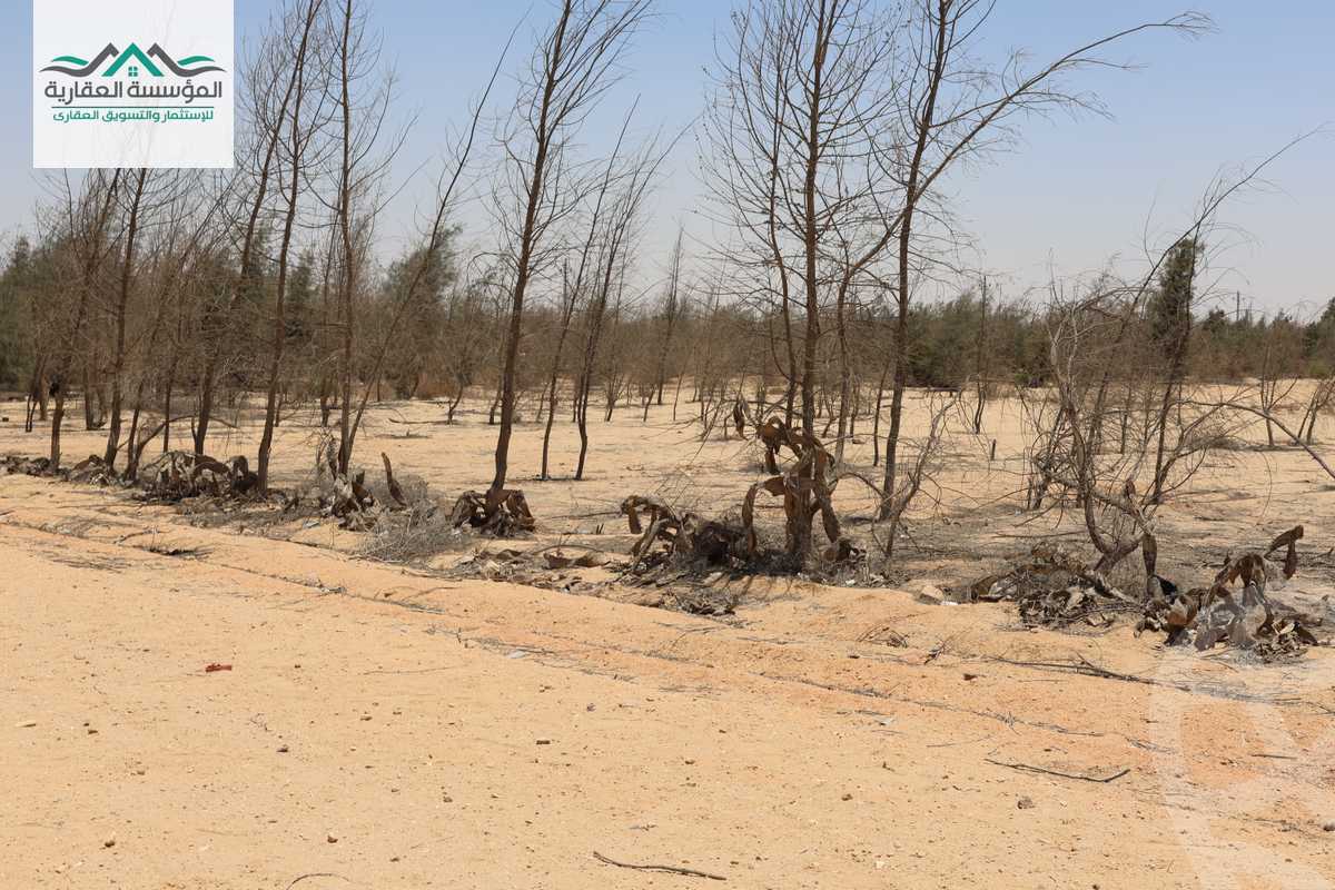 https://aqarmap.com.eg/en/listing/6092994-for-sale-cairo-6th-of-october-green-belt-wadi-el-nile